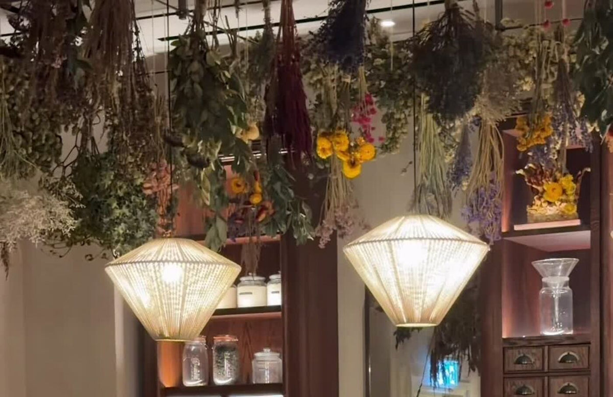 Dried botanicals suspended above the Children of Earth apothecary bar