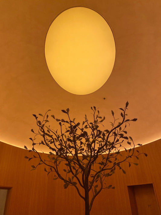 Rewiring Skin & Mind at Tramp Health
