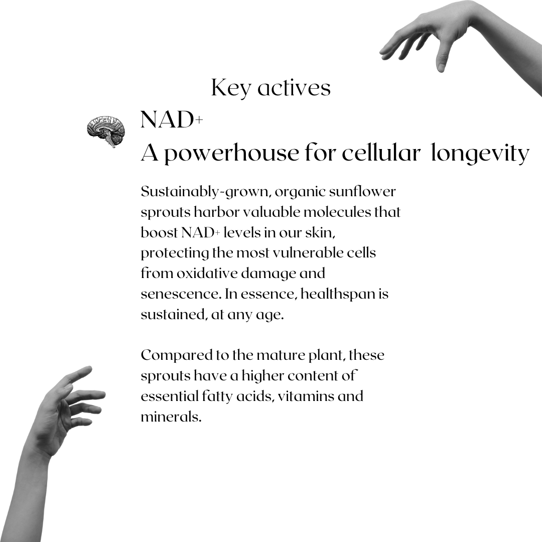 Starblood skin longevity hand cream with NAD+