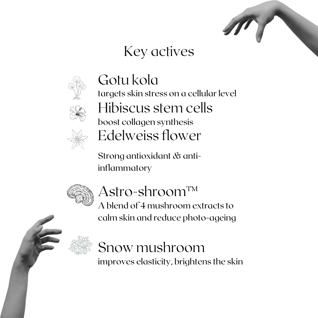 Starblood skin longevity hand cream with NAD+